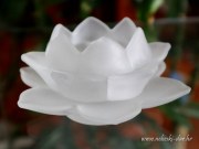 SVIJEĆNJAK - LOTOSOV CVIJET 